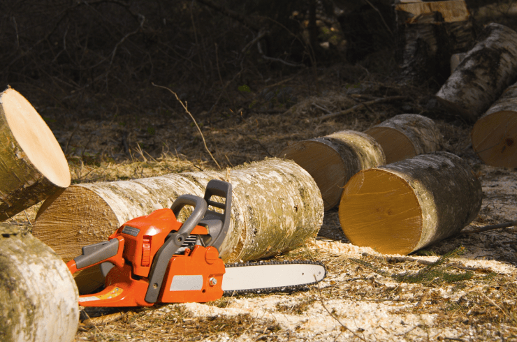Eagles Tree Service