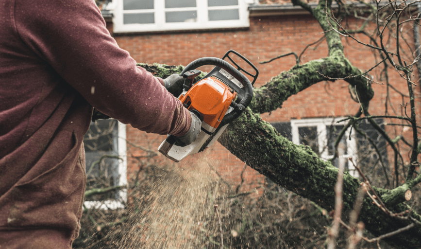 Eagles Tree Service
